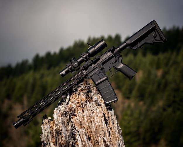 Rifle placed in a wood stump at an outdoor gun range in Iowa