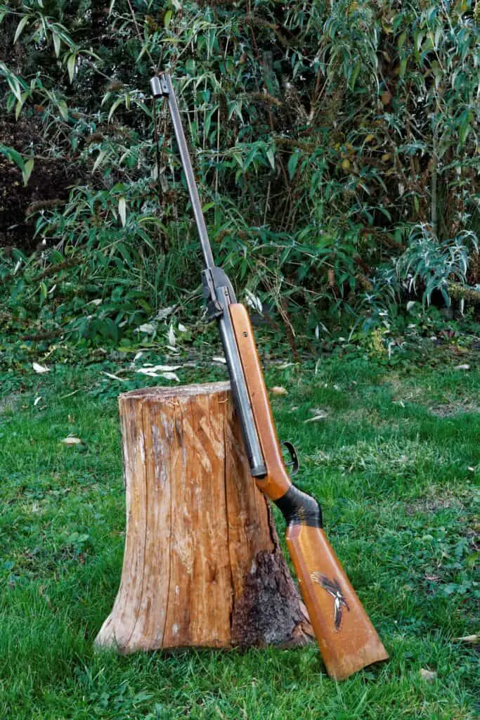 Rifle resting on a tree stump