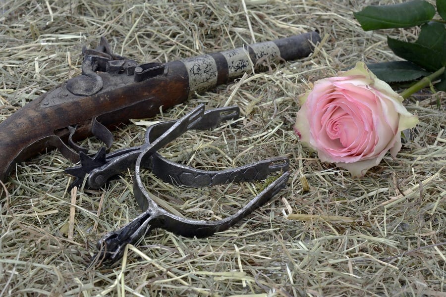 Gun placed in the grass