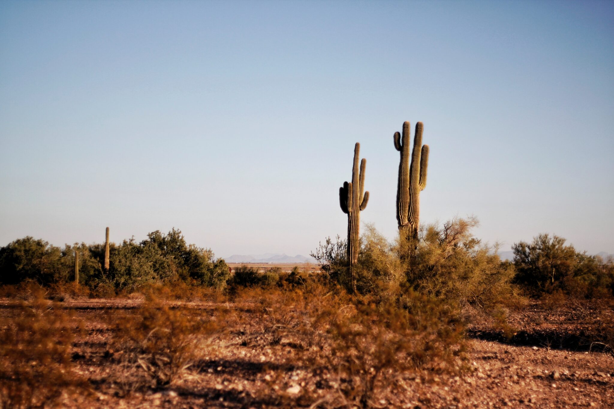 can-you-shoot-on-your-property-in-arizona-keepgunssafe