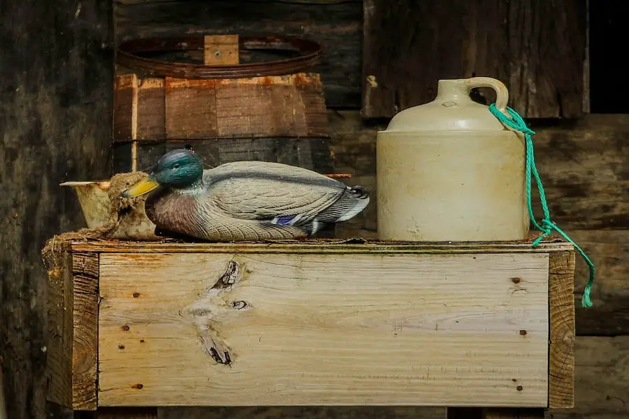 An image of a motion duck decoy on a wooden table