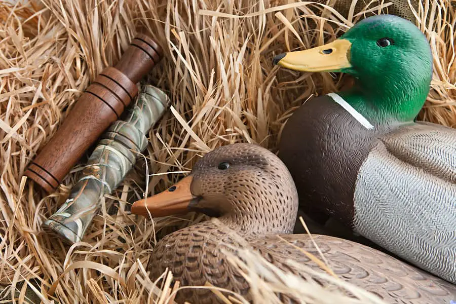 An image of two motion duck decoy